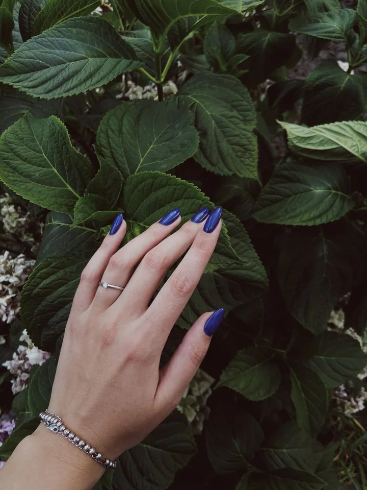 Düz mor — Pexels ilham görseli